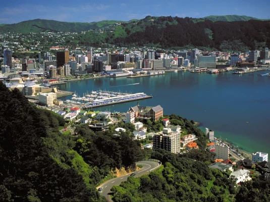 Wellington-top-Mount-Victoria-New-Zealand